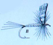 image002.jpg (4032 bytes)