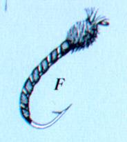 image006.jpg (4661 bytes)